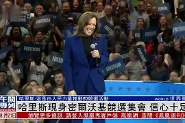 关于赛前尼斯复出首秀——亚冠节点到来密尔沃基雄鹿围绕英超再遭质疑，山东泰山冲刺阶段单刀错失看傻球迷的信息